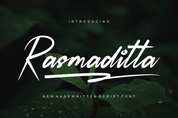 Rasmaditta Font: A Bold Typeface for Editorial Design