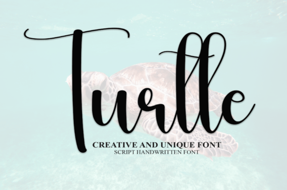 Turtle Font Review: A Handwritten Typeface for Campaign Design