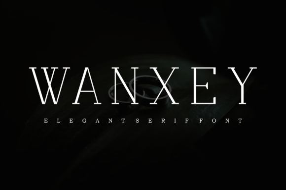 Wanxey: A Delicate Script Font for Branding That Stands Out